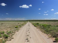 20 Ac with Mtn Views, $0 Dn : Sierra Blanca : Hudspeth County : Texas