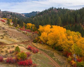 Hunt Across 2,300 Acres Bordering National Forest