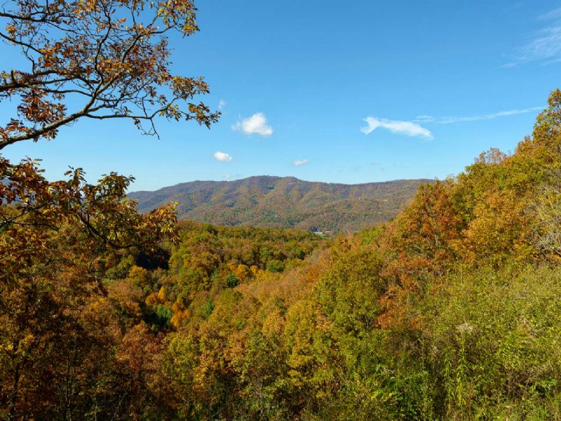 478 Acres On Kate's Mountain, Land for Sale by Owner in West Virginia ...