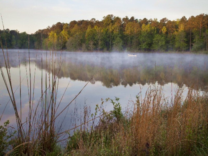 Historic Hunting Property : Pine Mountain : Harris County : Georgia