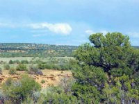 Secluded Northern AZ Ranch, $355/Mo : Saint Johns : Apache County : Arizona