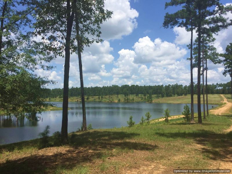 131± Ac On 30± Ac Stocked Lake, Land for Sale in Mississippi, 111500