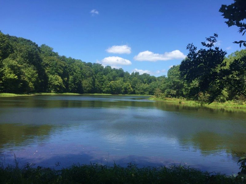 Railroad Pond : Land for Sale in Greensboro, Greene County, Georgia ...