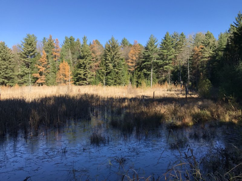 Southern Adirondack Forestlands Land for Sale in Stratford, Fulton