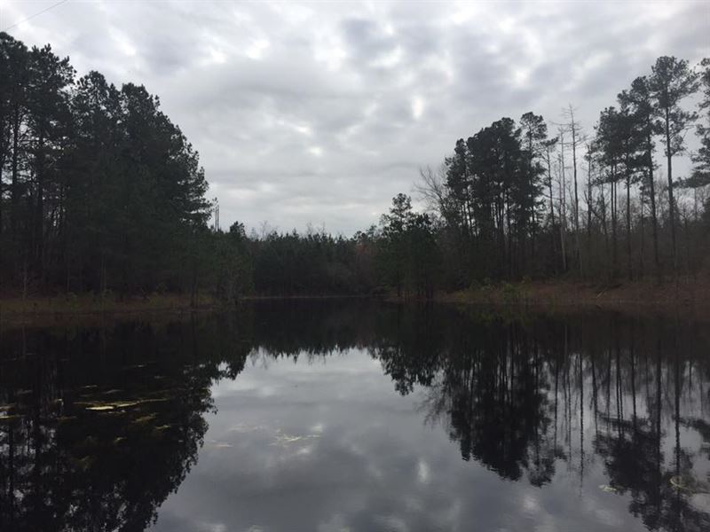 Land For Sale In Sandy Run Sc