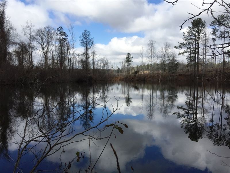 Willoughby Tree Farms Two Land for Sale in Thomaston, Upson County