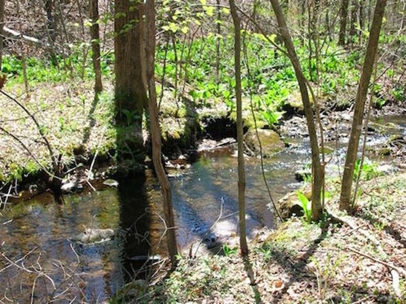 20 Ac. California Miningclaim Creek : Weaverville : Trinity County : California