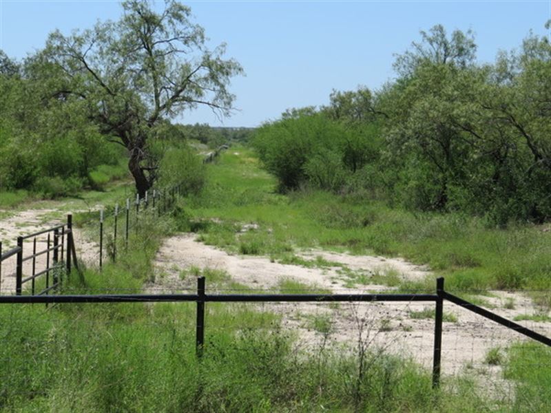 12 Acres South Texas for Sale, Land for Sale in Texas, 128057 LANDFLIP