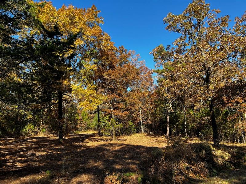 1 Acre Above Little Red River : Searcy : White County : Arkansas