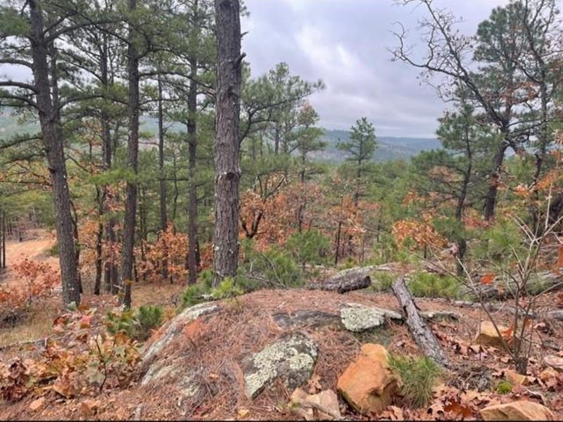 Buck Creek Recreational Hunting Ran : Moyers : Pushmataha County : Oklahoma