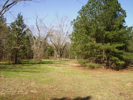 Great Homesite Owner Financing : Perry : Peach County : Georgia
