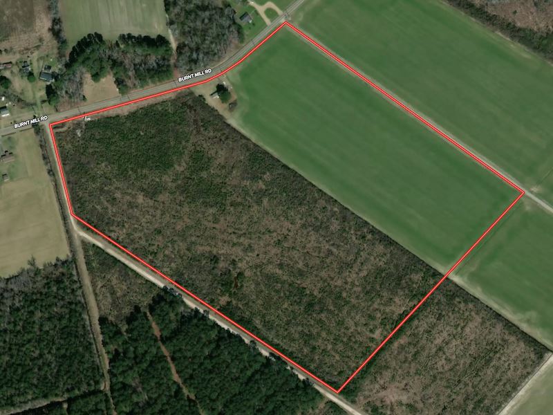 44.67 Acres or Pr : Edenton : Chowan County : North Carolina