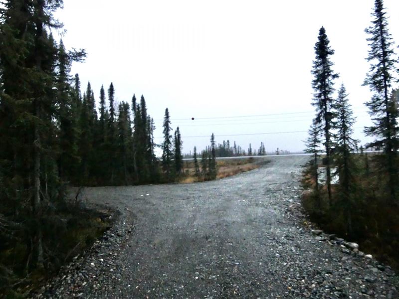 Willow Land with Driveway on Railro : Willow : Matanuska-Susitna Borough : Alaska