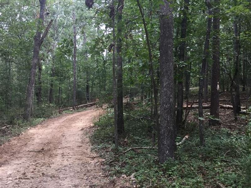 18.88 +/- Acres Polk County, Ga : Cedartown : Polk County : Georgia