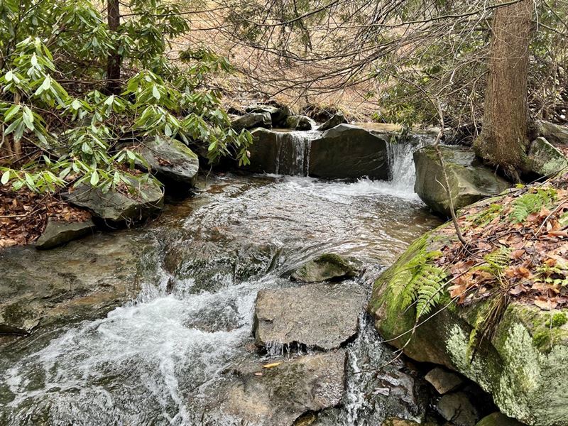 Listonburg Rd, Somerset County, 2 : Confluence : Somerset County : Pennsylvania