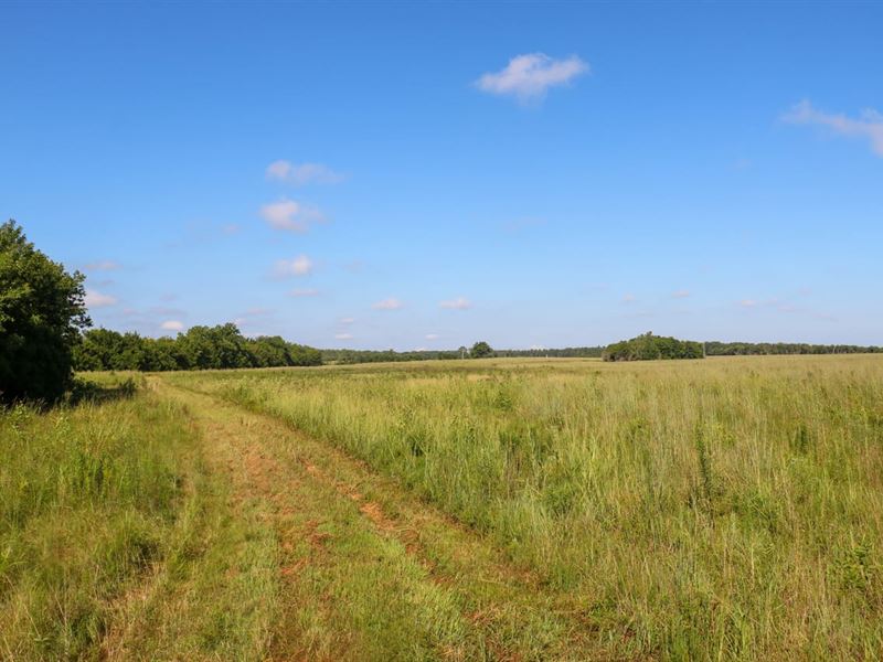 Lowndes County, 338 Acre Prair : Crawford : Lowndes County : Mississippi