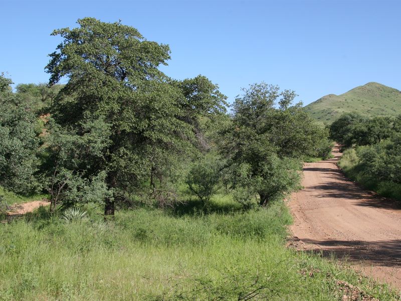 Salero Ranch, Generic : Tubac : Santa Cruz County : Arizona