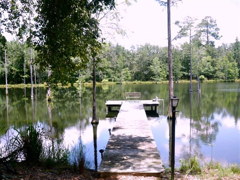 Dasher Farm : Land for Sale in Glennville, Tattnall County, Georgia ...