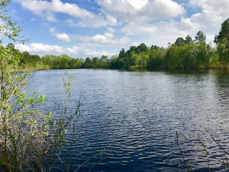 5 Acre Pond, Mature Pine Timber : Pelham : Mitchell County : Georgia