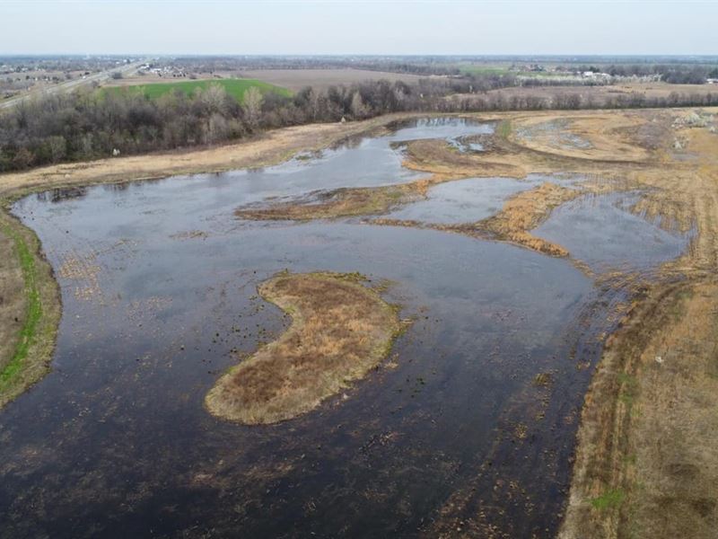 65 Acres of Hunting Land in New : Sikeston : New Madrid County : Missouri