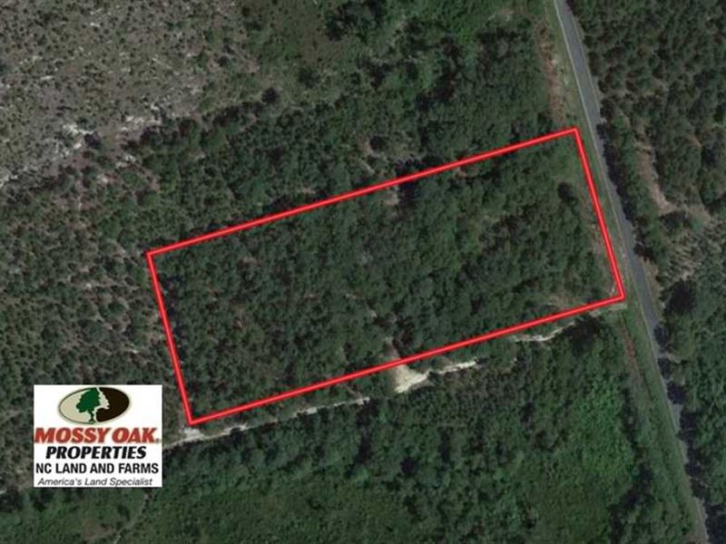 Under Contract, 4 Acres of Huntin : Wagram : Scotland County : North Carolina