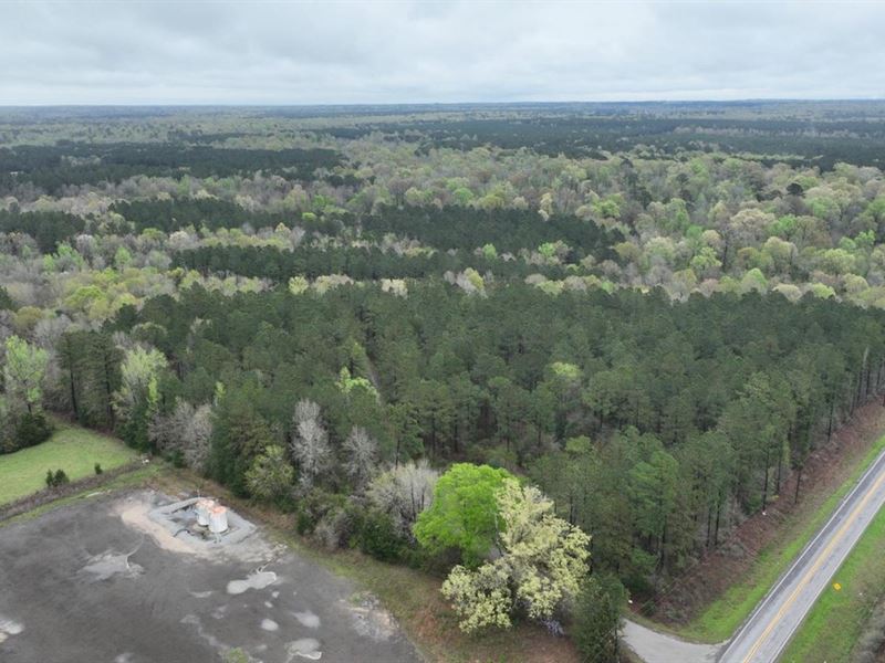 Longstreet Tract, Desoto Parish, 30 : Longstreet : De Soto Parish : Louisiana