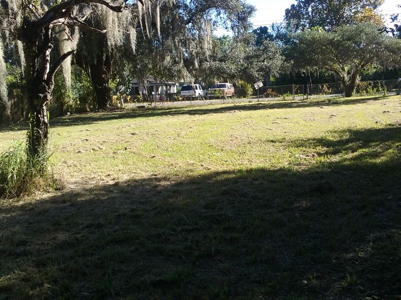 Lake Bonny Park, Lakeland, Fl Lot : Land for Sale by Owner in Lakeland ...