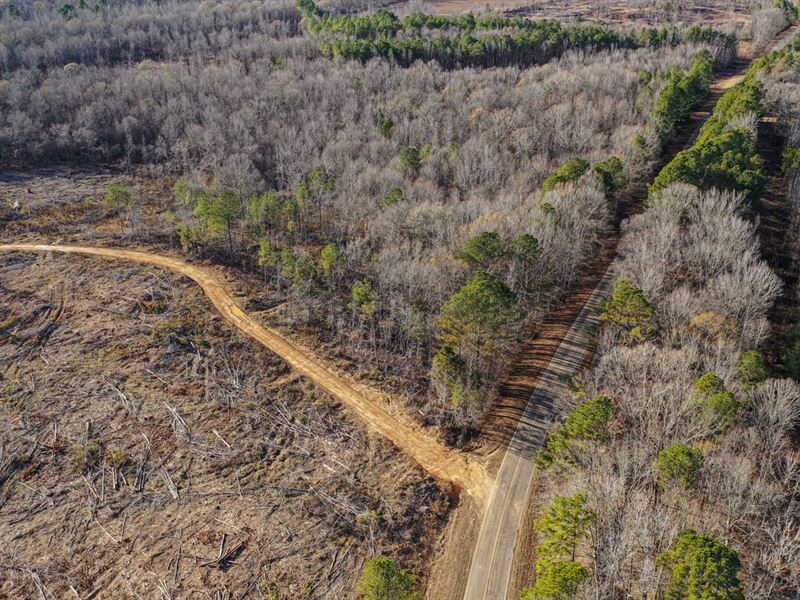 Webster County 119 Acre Hunting : Eupora : Webster County : Mississippi