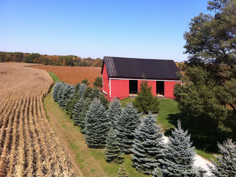 Beautiful Farm with Pond and Views : Shelby : Richland County : Ohio