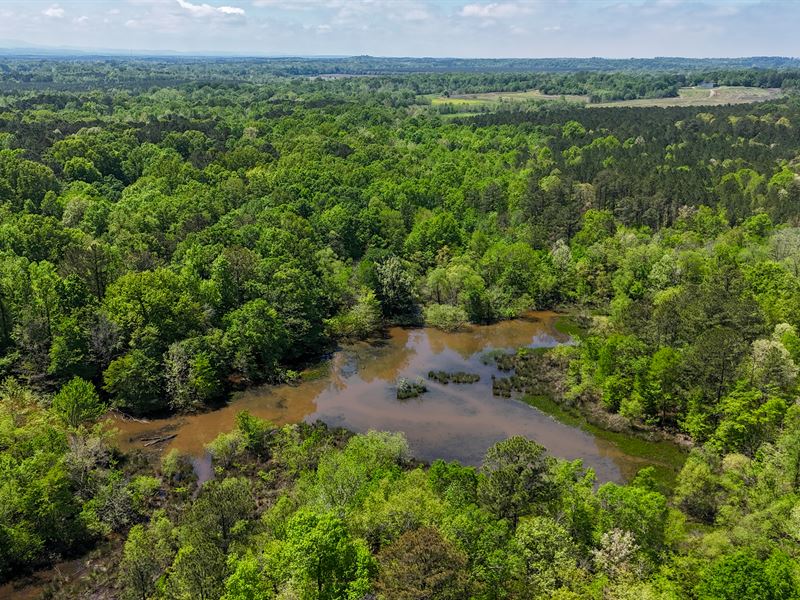 Beech Creek : Rome : Floyd County : Georgia