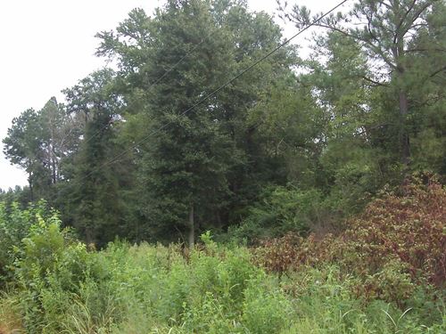 Burke County Georgia Land for Sale : LANDFLIP