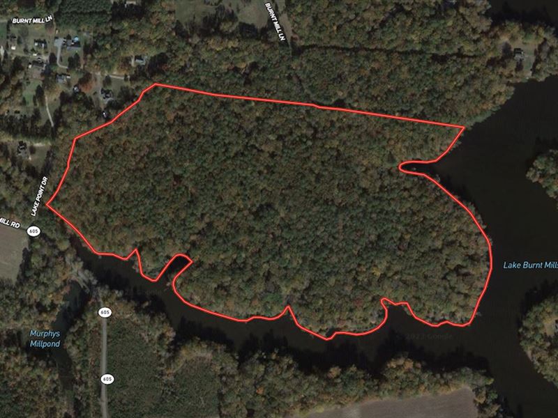 48.8 Acres of Rec : Windsor : Isle Of Wight County : Virginia