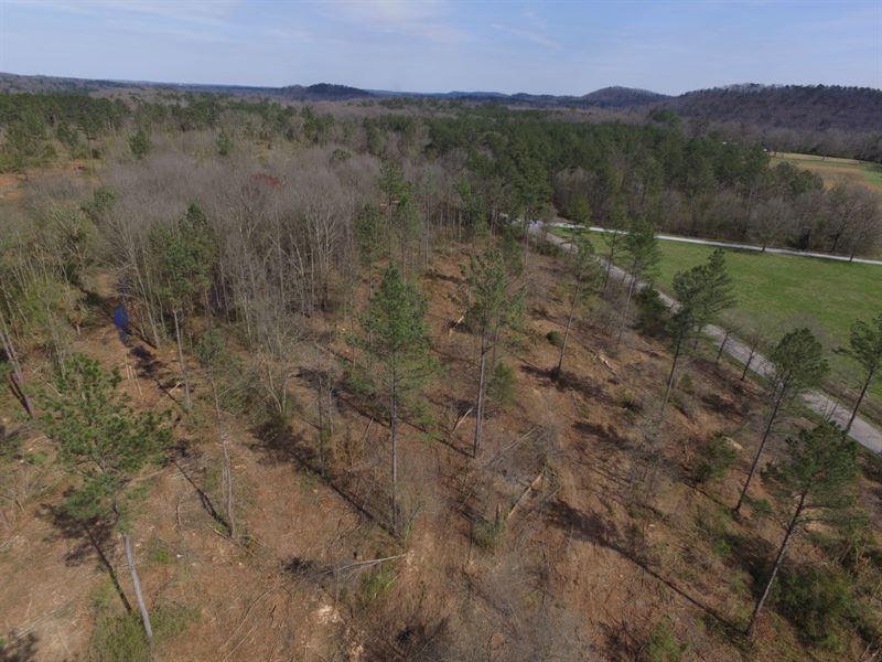 Cedartown Farms, 3.16 Acre Lot : Cedartown : Polk County : Georgia