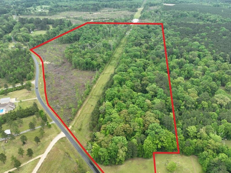 Bear Knoll Tract, Jackson Parish, 6 : Quitman : Jackson Parish : Louisiana