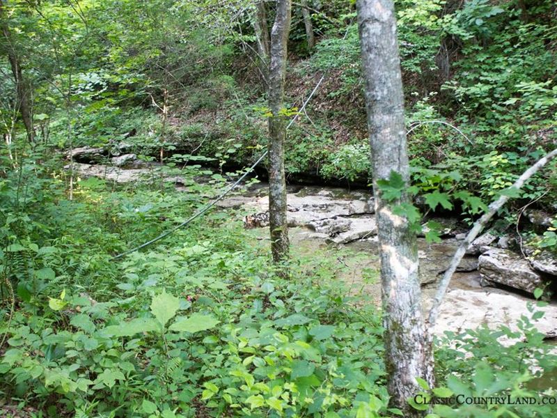 Beautiful Kentucky Mountain Land Land For Sale By Owner In Monticello Wayne County Kentucky 157996 Landflip