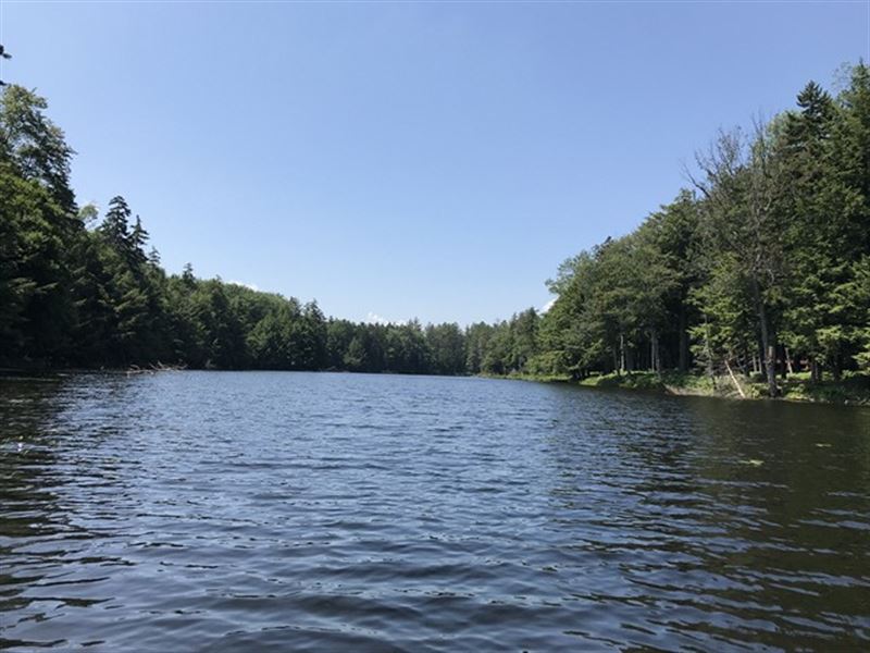 Affordable Adirondack Lakefront, Land for Sale in New York, #159523 ...