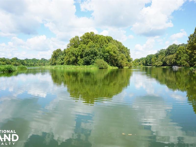 Black Warrior River Island : Stewart : Hale County : Alabama