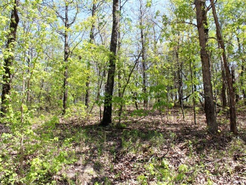 Wooded Acreage Mountain View : Mountain View : Stone County : Arkansas