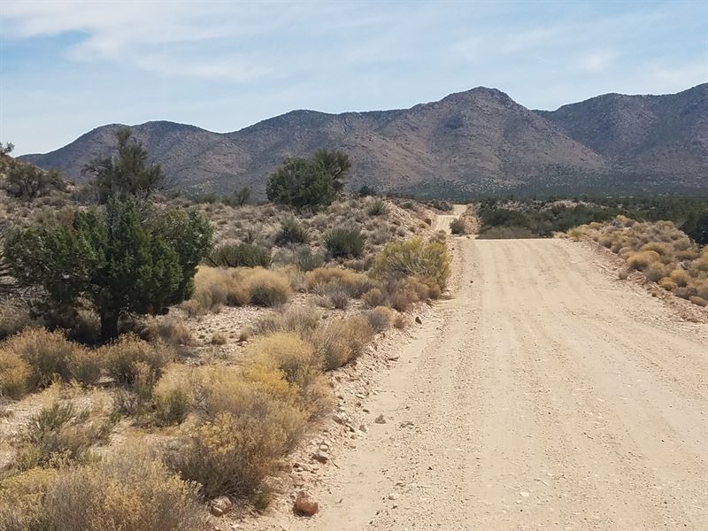 Land Cedar Hills Ranches Kingman : Kingman : Mohave County : Arizona