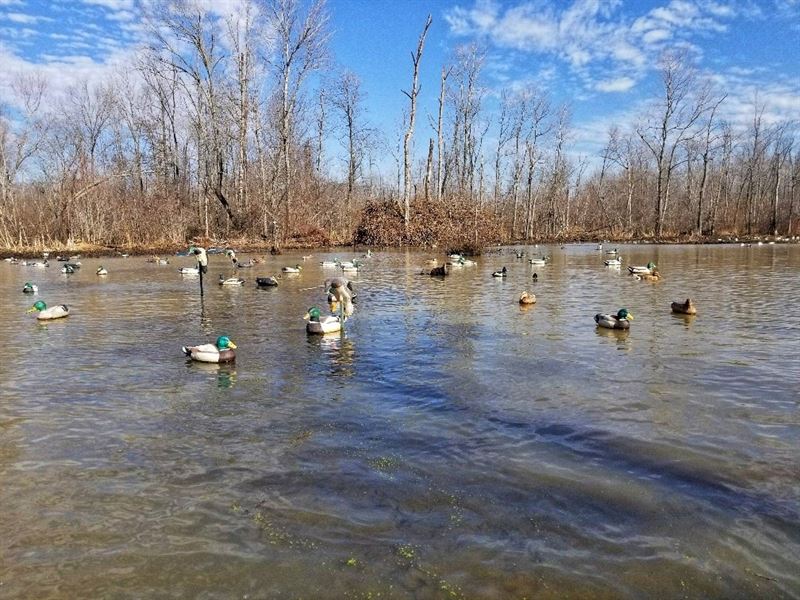 West Tennessee Duck Hunting Land, Land for Sale in Tennessee, 167107