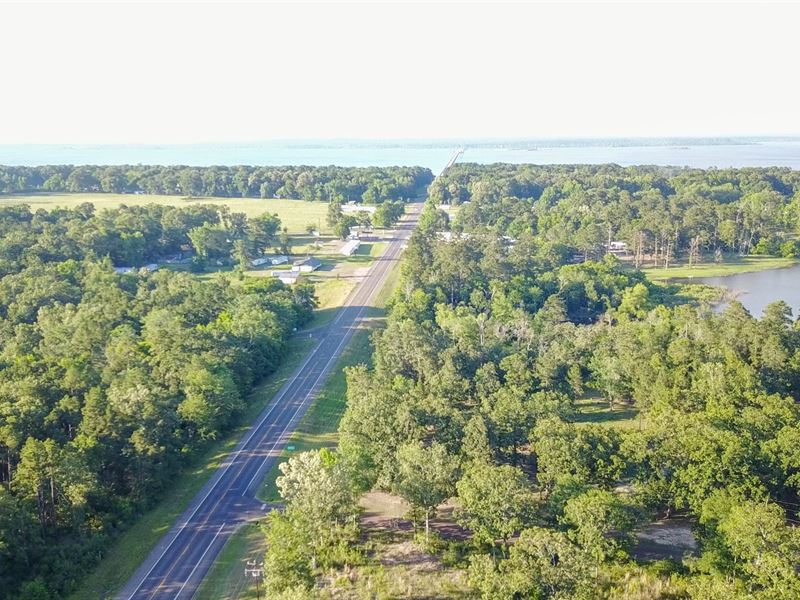 2.58 Acres, Lake Sam Rayburn Land Land for Sale in Zavalla, Angelina