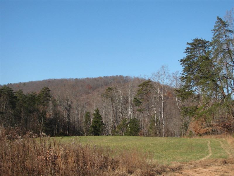 42Ac View Turkey Cock Mountain : Land for Sale in Chatam, Pittsylvania ...