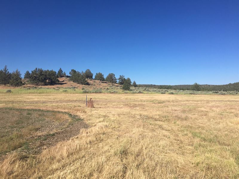 Land, N, Calif, Modoc County : Land for Sale in Alturas, Modoc County ...