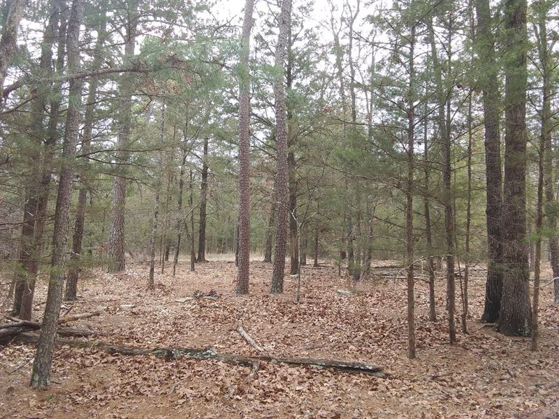 Kiamichi Wilderness Recreational : Land for Sale in Moyers, Pushmataha ...