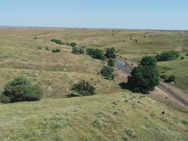 Hayes County Range And Drycrop : Land for Sale in Culbertson, Hayes ...