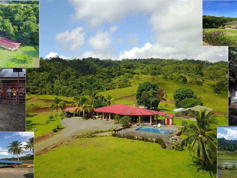 Ocean View Farm for Sale Costa Rica : Siquirres : Costa Rica