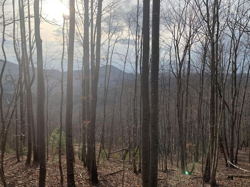 5.13Ac, 171 Woodchuck Lane 118 : Marion : McDowell County : North Carolina