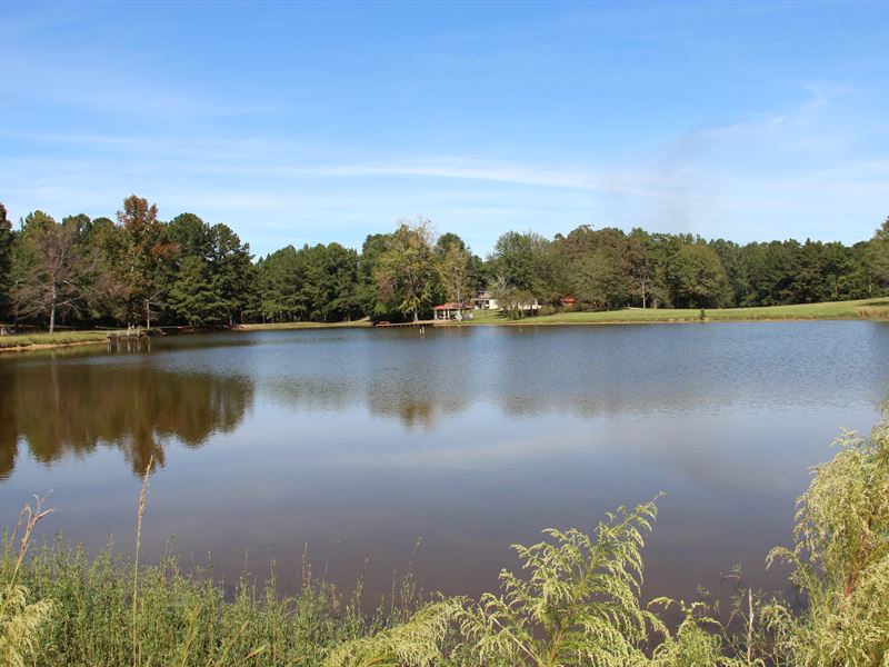 Farm with House and 4 Acre Pond : Wilsonville : Shelby County : Alabama