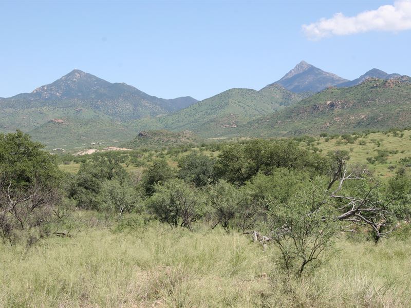 Arizona's Salero Ranch, Generic : Tubac : Santa Cruz County : Arizona