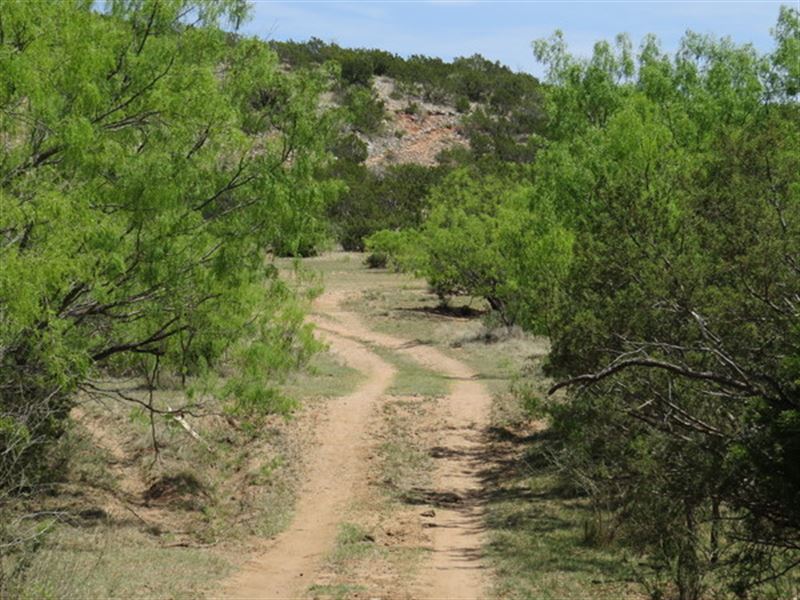 Hunting Land, Elect & Water Avail : Robert Lee : Coke County : Texas